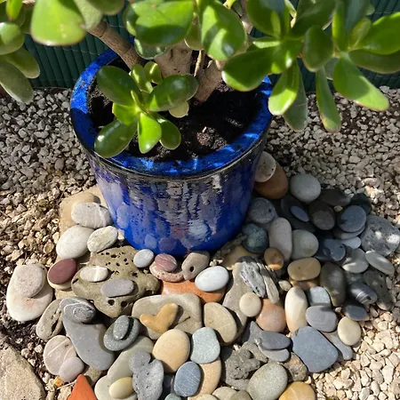 Sea House And Pool Near Montpellier *